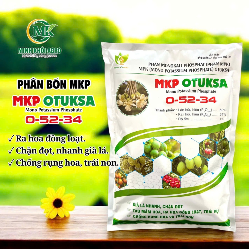 Phân bón MKP OTUKSA 0-52-34 | Chặn đọt, nhanh già lá, xử lý ra hoa