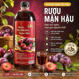 [Chai 1L] RƯỢU NGÂM MẬN HẬU - Ủ 18 Tháng, Núi Mường Tây Bắc