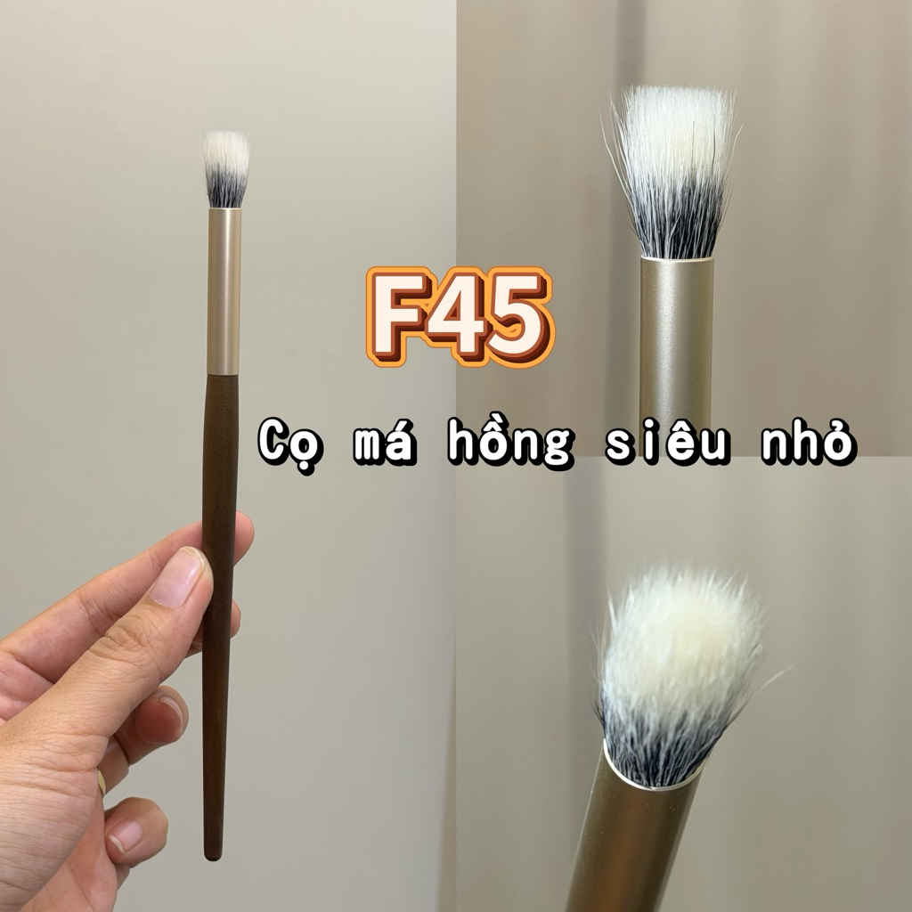Cọ má hồng siêu bé đánh trung tâm má hồng F45