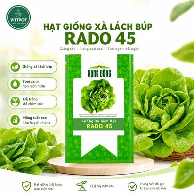 Hạt Giống Xà Lách Búp Rado, Vietpot, Gói 5gr, Dễ Trồng, Nảy Mầm, Thu Hoạch, Năng Suất Cao.