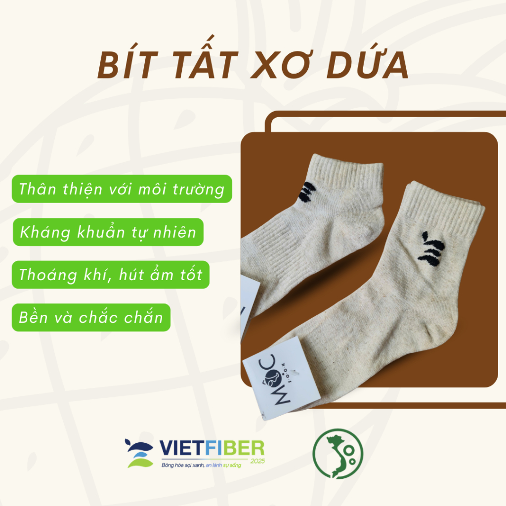 Tất Xơ Dứa Tự Nhiên MOC | Kháng Khuẩn – Thoáng Khí – Khử Mùi Hiệu Quả, Thân Thiện Môi Trường