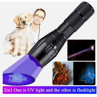 Đèn pin mini chiếu tia uv cầm tay