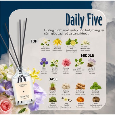 Tinh Dầu Khuếch Tán Hàn Quốc Hương Hoa Cỏ Daily Five DAILY COMMA 100ml