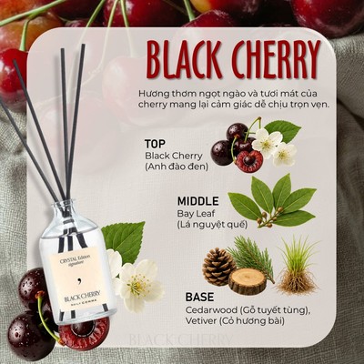 Tinh Dầu Khuếch Tán Black Cherry DAILY COMMA 100ml