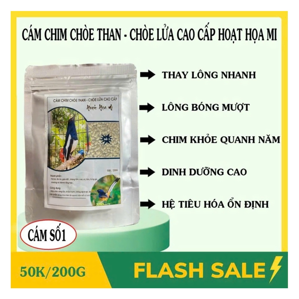 Cám Chim Chòe Than - Chòe Lửa Cao Cấp Số 1 - Hoạt Họa Mi