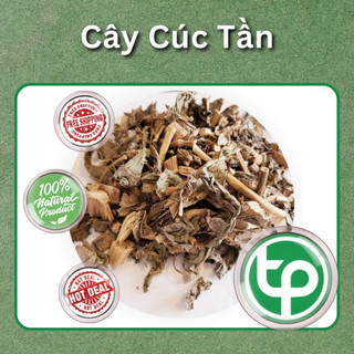 Cây cúc tần khô - Tấn Phát