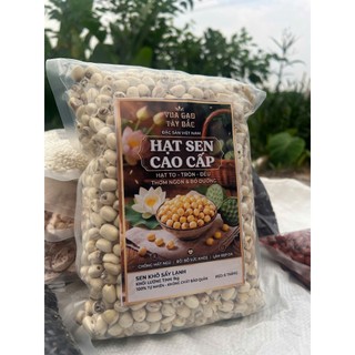 1kg Hạt sen khô Huế ( Đã tách nhân, phơi khô)_ Phù hợp nấu cháo bổ dưỡng sức khoẻ, khôi phục sau sinh