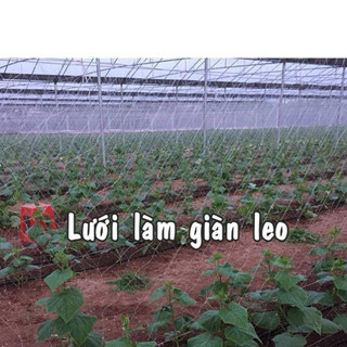 LƯỚI LÀM GIÀN LEO (GIÀN DƯA LEO, GIÀN BÍ NGÔ, GIÀN MƯỚP...)