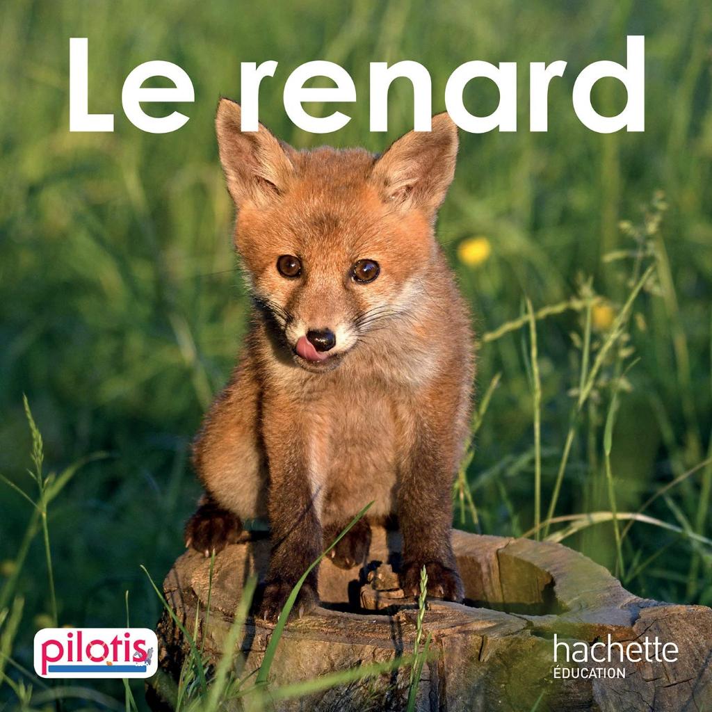 Lecture CP - Collection Pilotis - Le Renard - Album 9782016271834