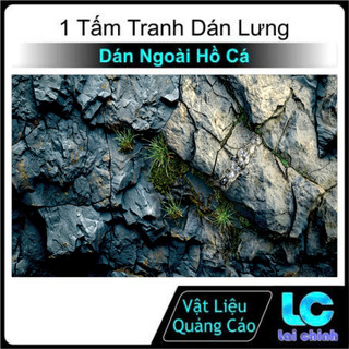 Tranh 3d Decal có sẵn keo, Tranh Dán Bể Cá Thủy Sinh, Bể Cá Rồng (Tranh Dán Lưng)_VD 26