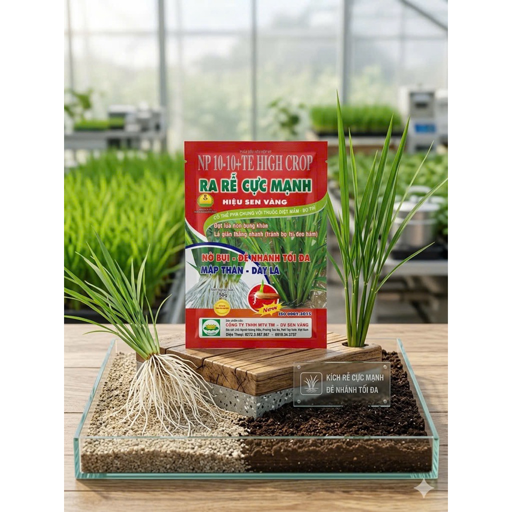 Ra Rễ Cực Mạnh(gói50g)giúp ra rễ cực nhanh to bụi và đẻ nhánh