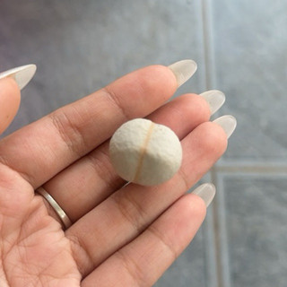 Mông Golf size 1cm Lithops Golf cono mông thạch lan mọng nước