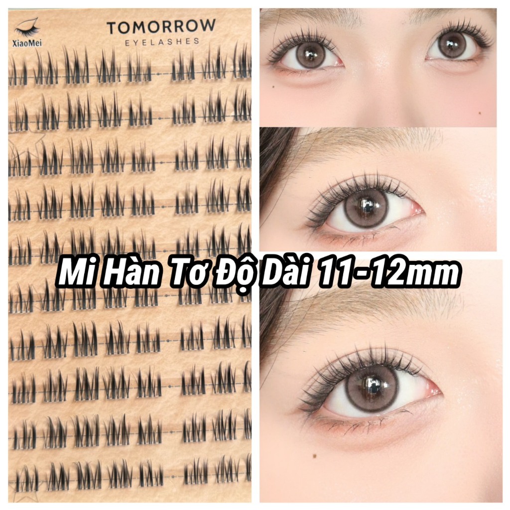 Mi Hàn Tơ Cao Câp C46 11-12mm