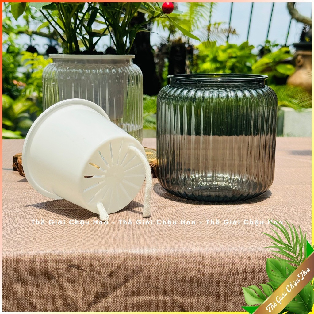 { ComBo 2 } Chậu Thủy Sinh - Chậu Trồng Cây Phong Thủy - Chậu Tự Tưới - Để Bàn Làm Việc giadungtienich5k