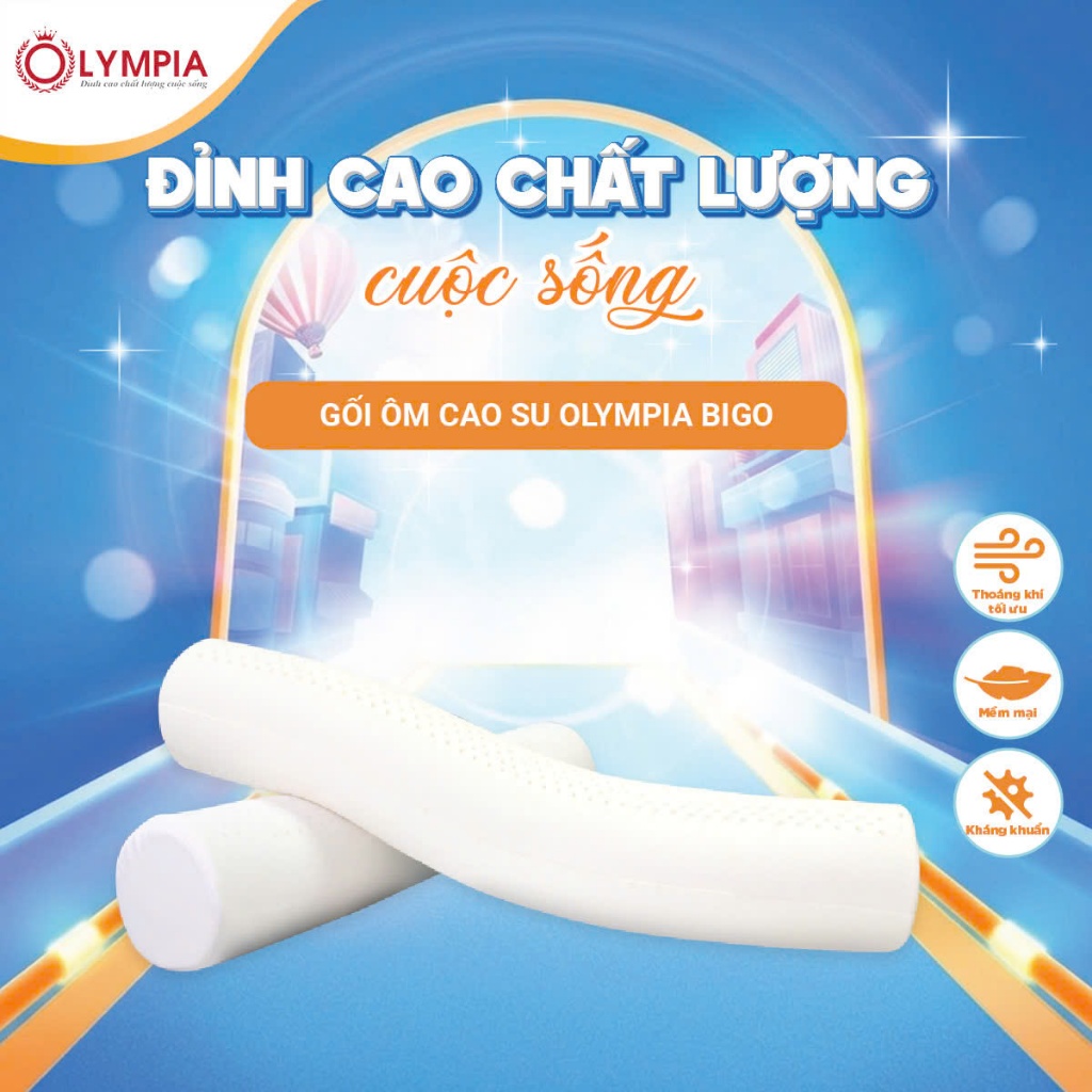 Gối ôm cao su Olympia Bigo 20x95cm