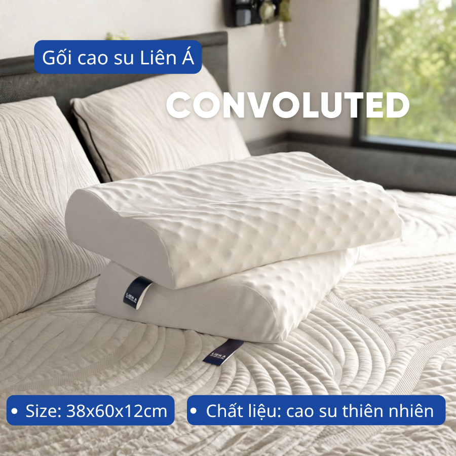 Gối cao su Liên Á Convulute ( kích thước 38x60x12cm)