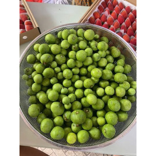 RẺ SẬP SÀN - Sét 3 ký SẤU BẮC cuối mùa, hàng mới mỗi ngày. Chà sạch vỏ/hút chân không theo yêu cầu của khách