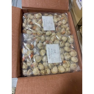 CÒI SÒ ĐIỆP. túi 1KG ( Giao hỏa tốc)