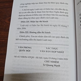 Sách - Luật sở hữu trí tuệ (sđ 2025) NXB Lao động