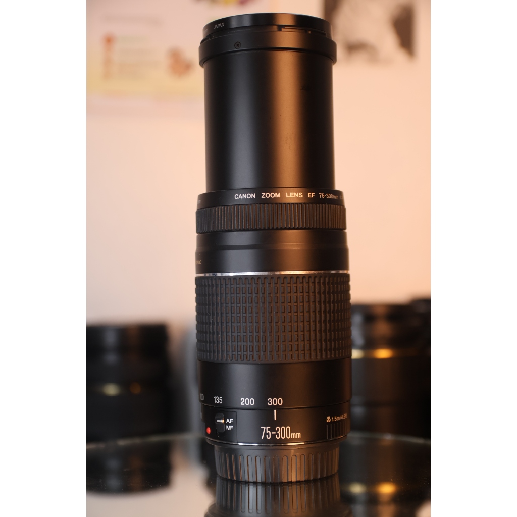 Lens Canon 75-300mm EF 1:4-5.6 II USM (99%) - Lens máy ảnh