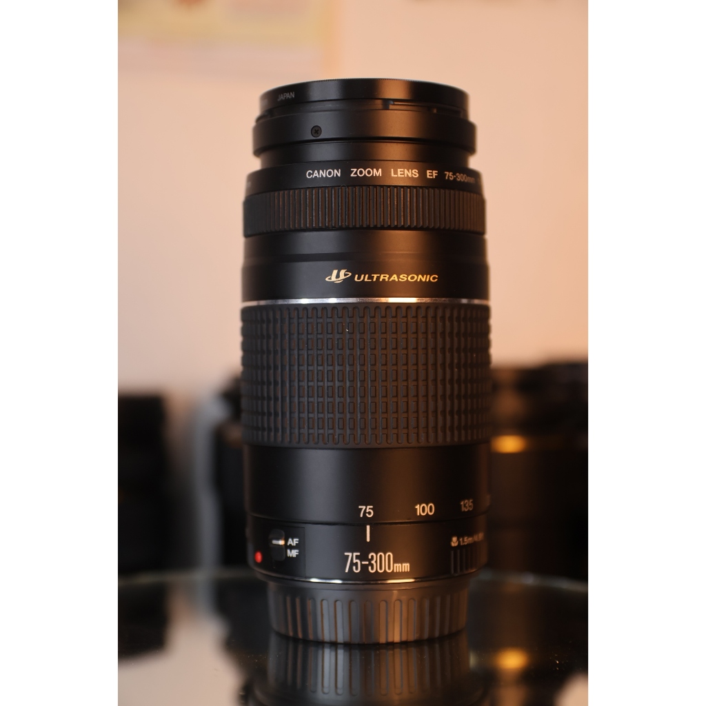 Lens Canon 75-300mm EF 1:4-5.6 II USM (99%)