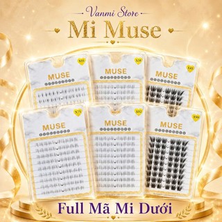 Mi Dưới Muse, (Full mã) Mi Dưới Cụm Muse Hot Trend, Mi Giả Cụm Dưới - Vanmi Store