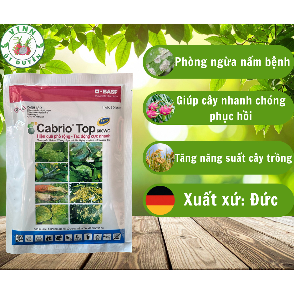 Chế Phẩm BảoVệ Cây Trồng Cabrio Top 600WG Ngừa Nấm. Gói 100gr