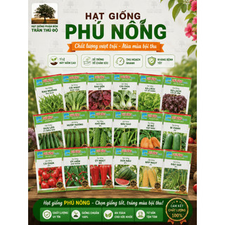 HẠT GIỐNG XÀ LÁCH PHÚ NÔNG 978 - GÓI 10GR