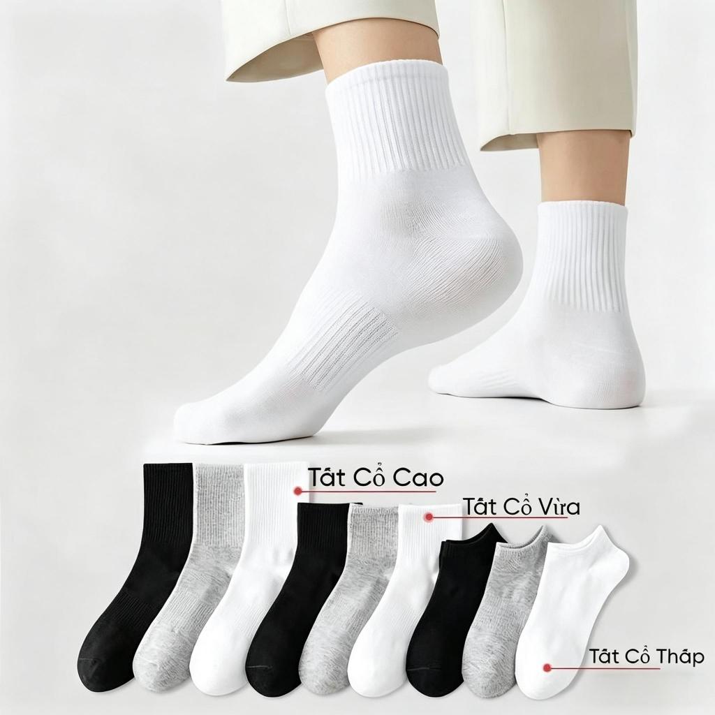 Tất nam nữ thể thao 5 đôi 10 đôi 15 đôi, dài trung ngắn, chống mùi, thấm mồ…