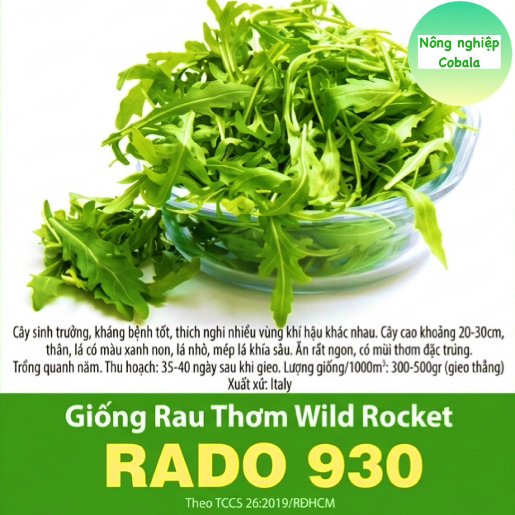 Hạt Giống Rau Thơm Wild Rocket 1gr