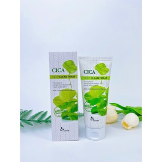 Sữa rửa mặt Ecosy 100ml