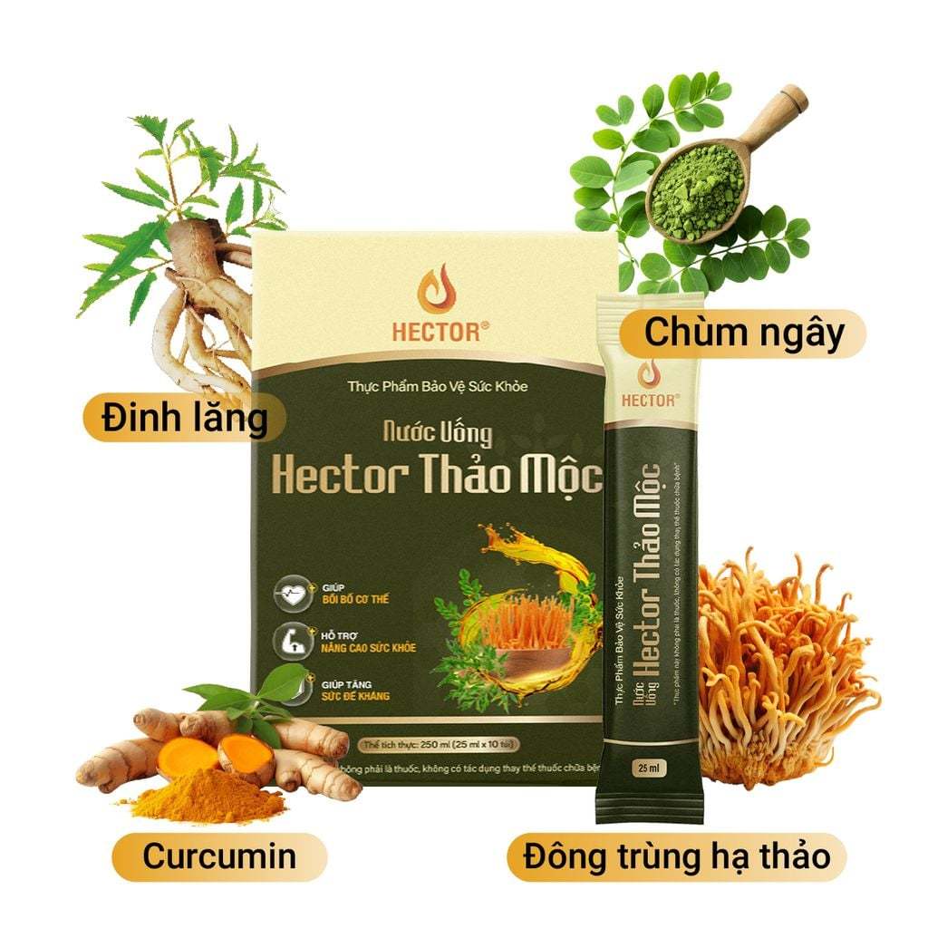 Thực phẩm bảo vệ sức khỏe Nước uống Hector Thảo mộc (10 túi)