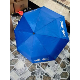 (Hàng khuyến mãi ) Ô DÙ GẤP GỌN