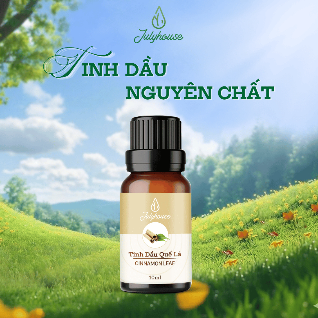Tinh dầu quế 10ml JULYHOUSE