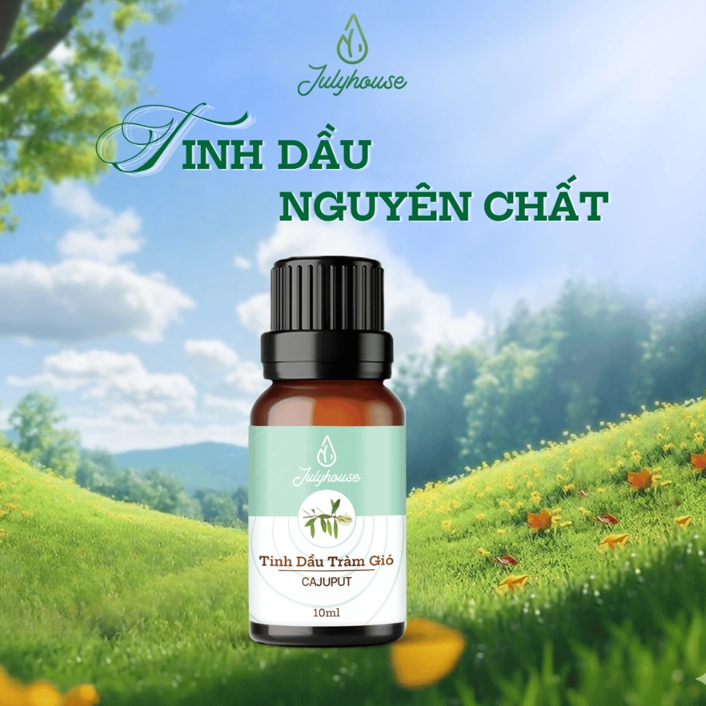 Tinh dầu Tràm Gió 50ml JULYHOUSE