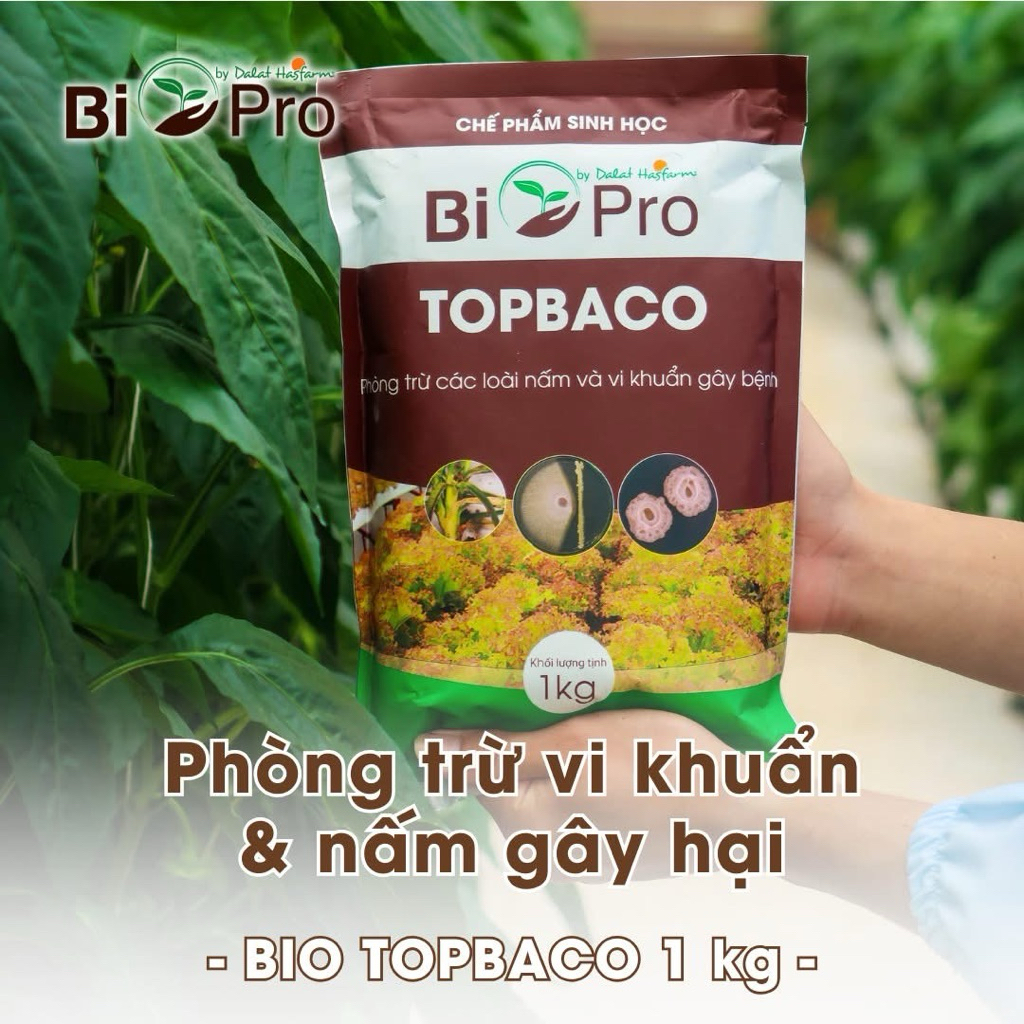 Chế phẩm sinh học Topbaco Bi Pro by Dalat Hasfarm