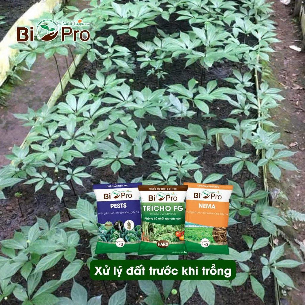 Bộ 3 xử lý đất trước khi trồng Pests + Tricho FG + Nema Bio Pro by Dalat Hasfarm