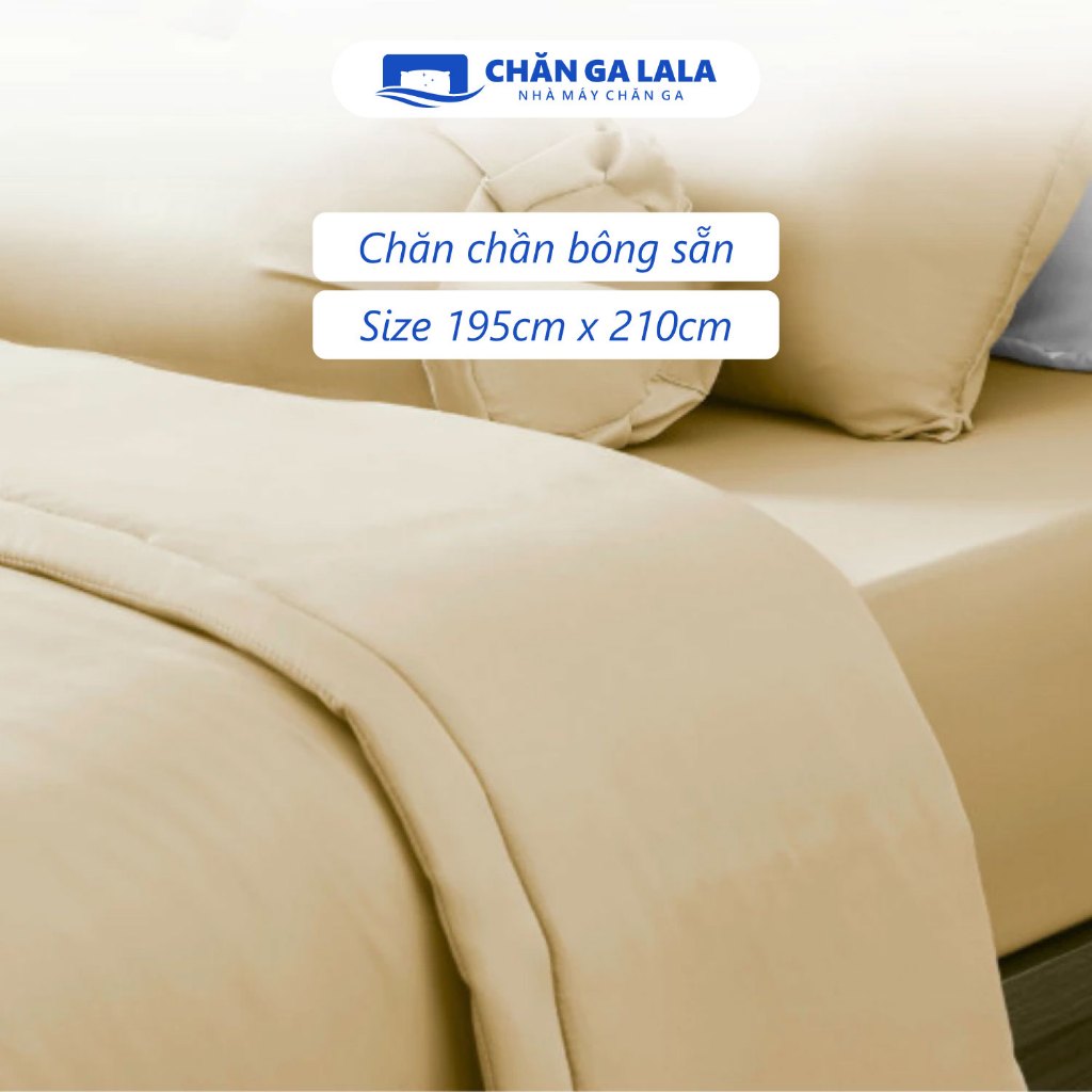 Bộ Chăn Gối 3 Món Silk Ice CHAGOTA, Công Nghệ Kháng Khuẩn, Vải Mềm Mát, Phong Cách Chuẩn Hàn | BigBuy360 - bigbuy360.vn