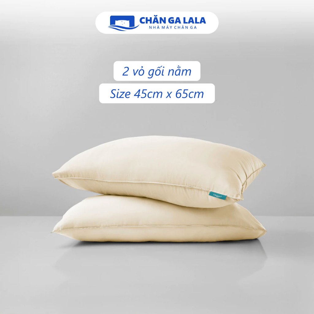 Bộ Chăn Gối 3 Món Silk Ice CHAGOTA, Công Nghệ Kháng Khuẩn, Vải Mềm Mát, Phong Cách Chuẩn Hàn | BigBuy360 - bigbuy360.vn