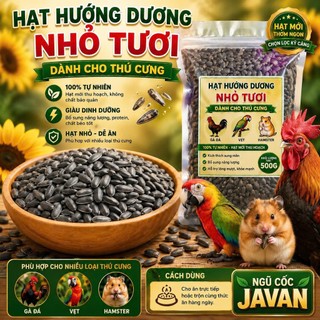 Hạt hướng dương đen nhỏ cho thú cưng vẹt, sóc, hamster, nhím