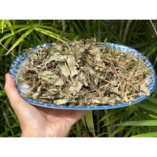 [Hàng Công Ty] Lá khổ sâm sấy khô (thơm, sạch)
