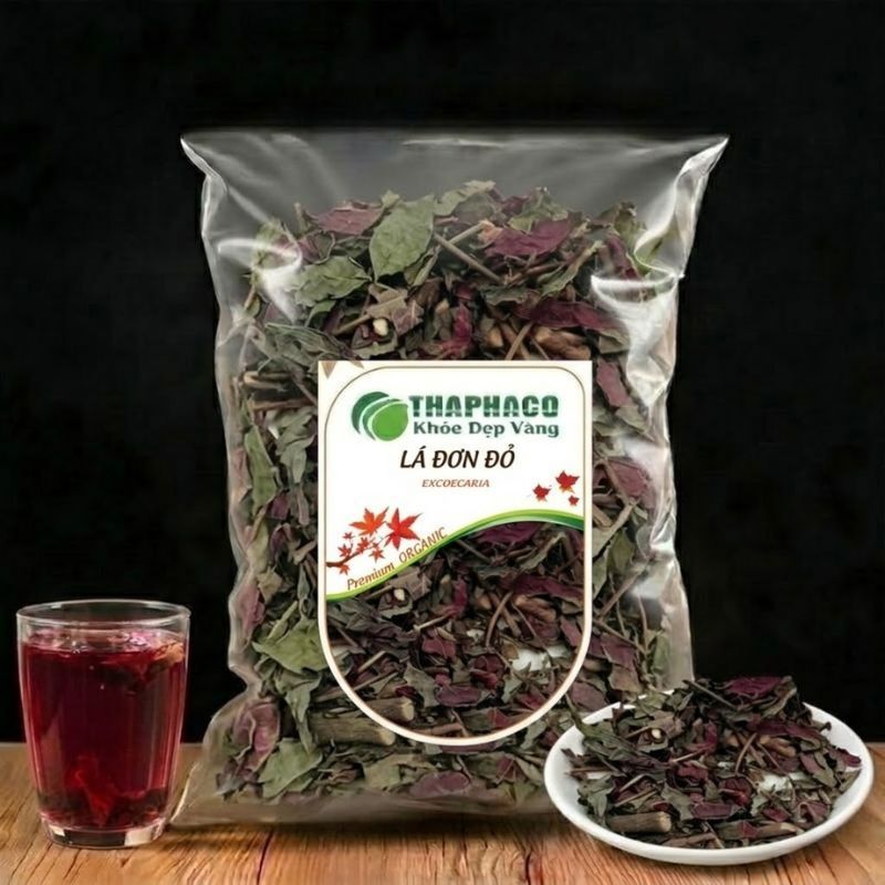 [Trà thơm sạch chất lượng cao] Lá đơn đỏ khô 1kg  - Tấn Phát - Thanh nhiệt và làm mát cơ thể