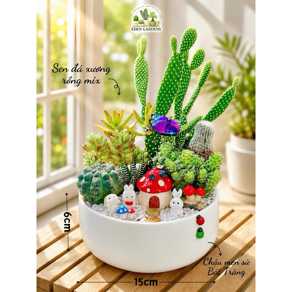 Chậu xương rồng sen đá EDEN Gardens decor bàn làm việc Ngôi làng Thỏ Trắng chậu sứ 15x6cm