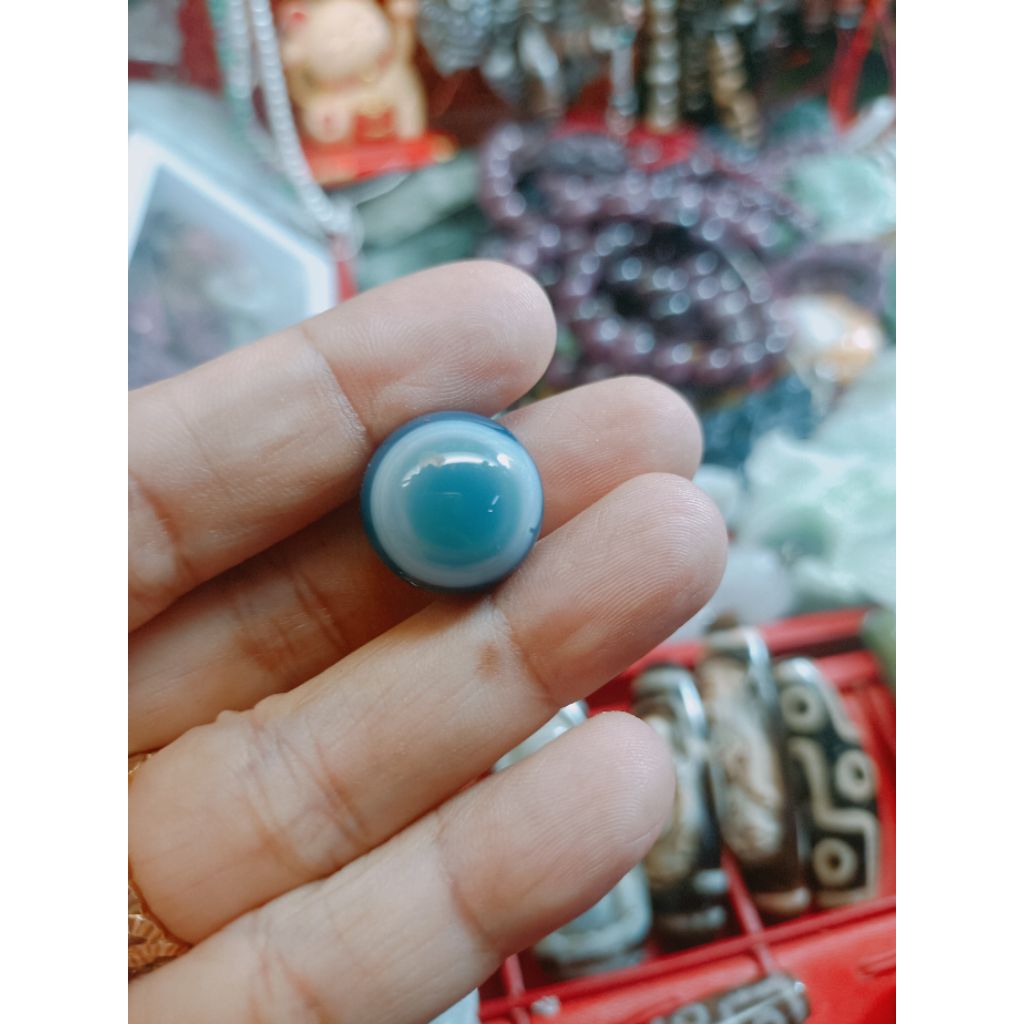 mắt dê dzi .