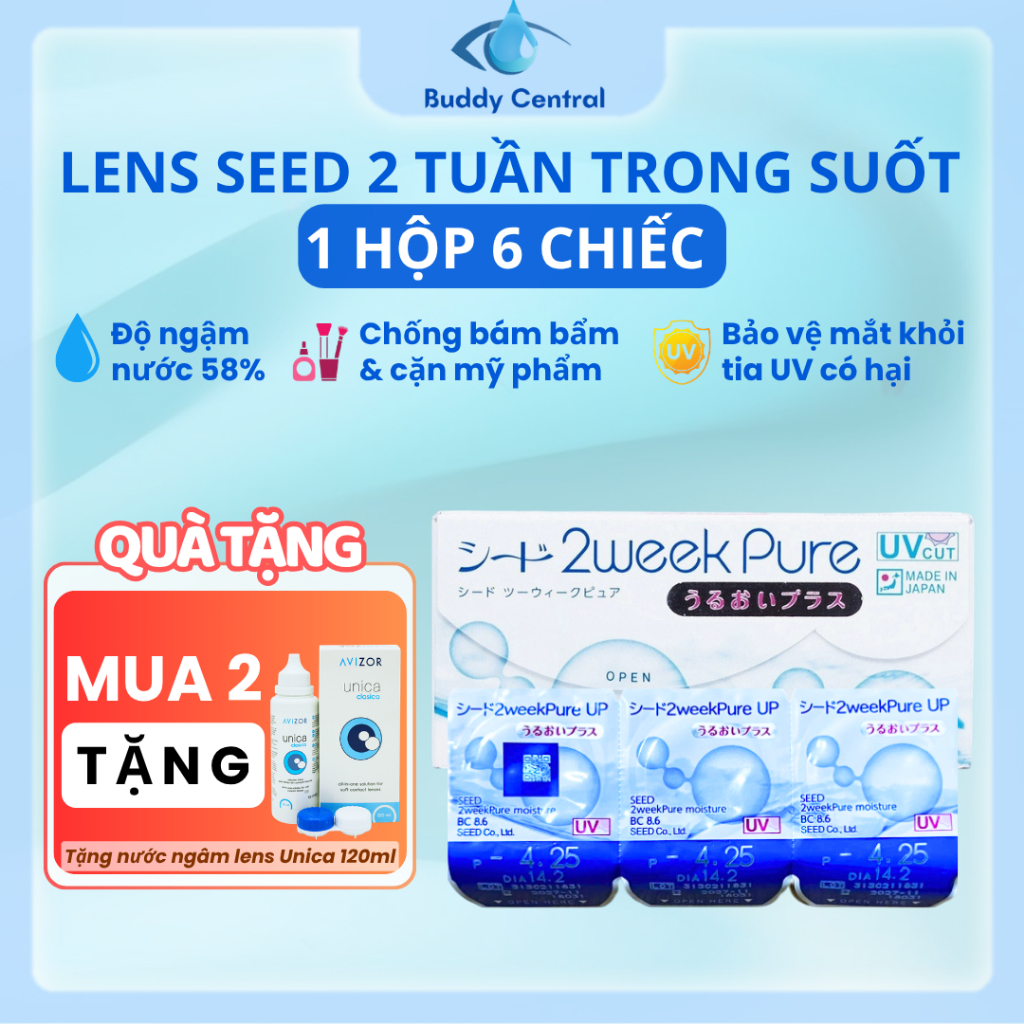 (Hộp 6 chiếc) Lens Seed 2 tuần 2week Pure trong suốt độ cận từ 0.00D đến -12.00D - Buddy Central