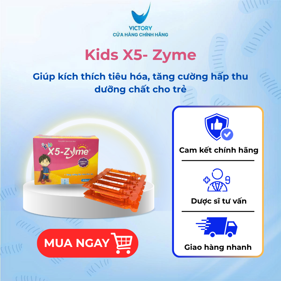 Men Tiêu Hóa X5-Zyme Tiêu Hóa Thức Ăn, Giảm Khó Tiêu, Ăn Ngon Hộp 20 Ống x 5ml
