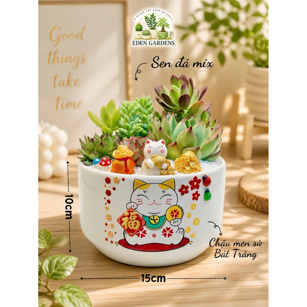 Chậu sen đá EDEN Gardens decor bàn làm việc Mèo Tài Lộc chậu sứ 15x10cm