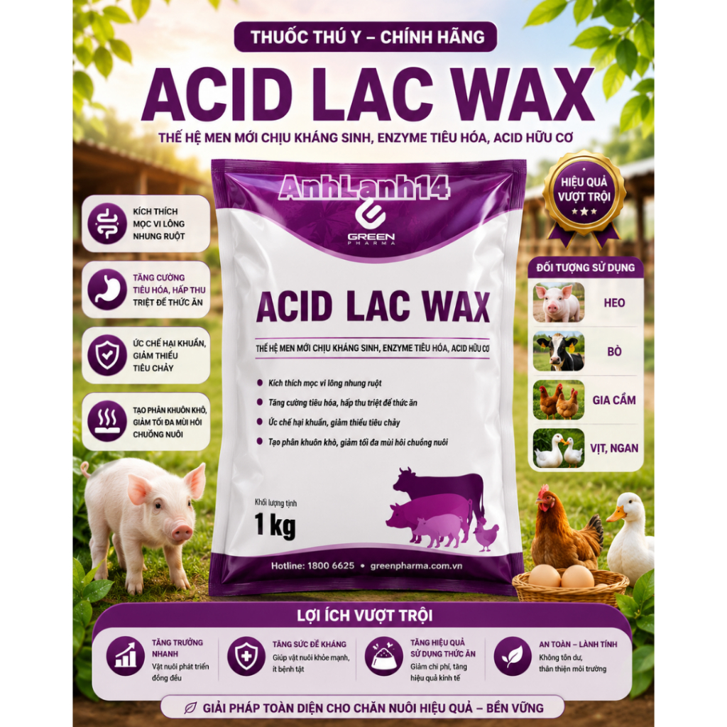 Acid lac way ( men sống chịu kháng sinh) 1kg