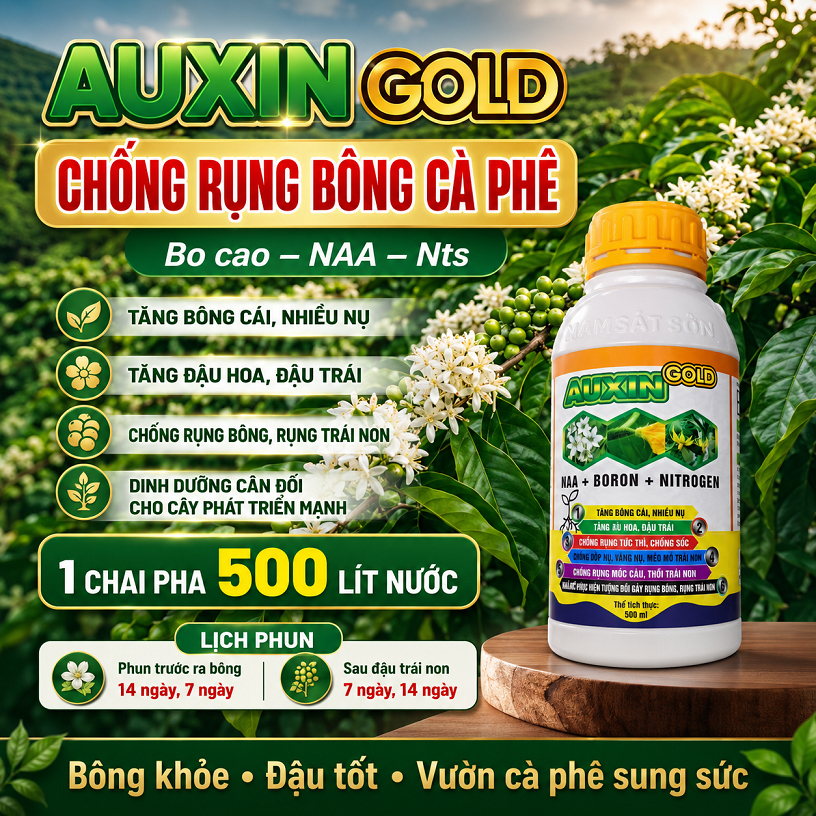 AUXIN GOLD 500ml Bo NAA –Chống Rụng Bông, Giữ Bông Cà Phê, Hạn Chế Rụng Hoa, Tăng Đậu Trái, Chống Rụ