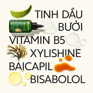 [Cải tiến mới] Nước dưỡng tóc tinh dầu bưởi COCOON| Ngăn ngừa gãy rụng, hỗ trợ mọc tóc